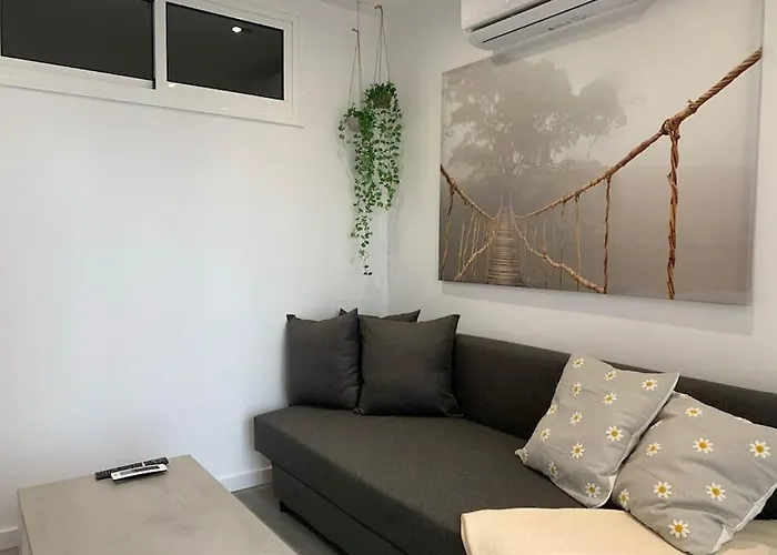 Con Encanto Y Piscina Apartment *